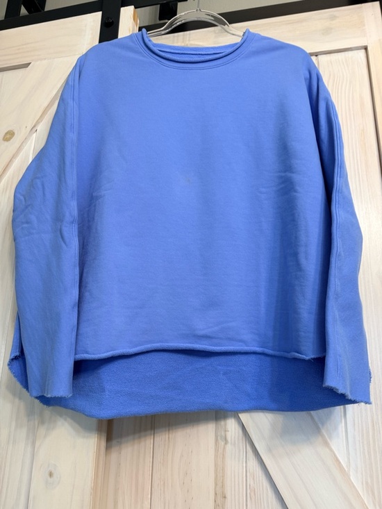 Frank & Eileen Tops - NWT Frank & Eileen M Anna long sleeve Triple Terry sweatshirt in Frost Blue